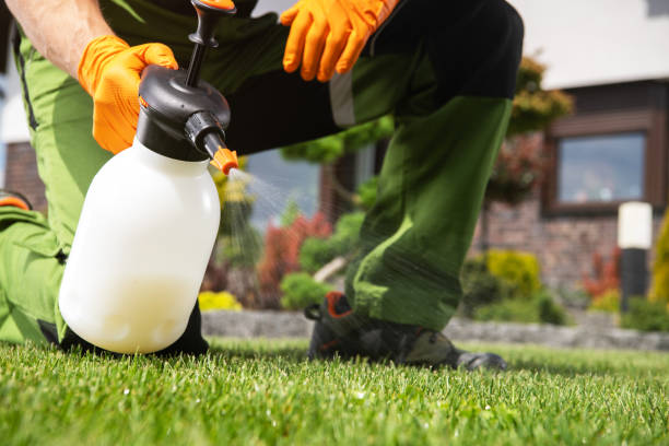 Best Pest Control Near Me  in Mount Clemens, MI