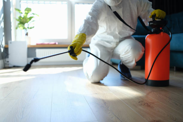 Trusted Mount Clemens, MI Pest Control Experts