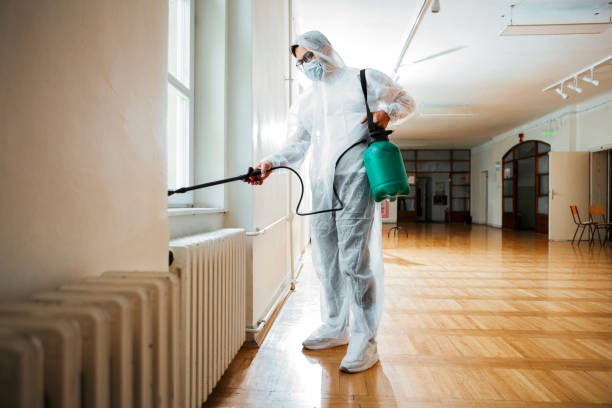 Best Cockroach Control Services  in Mount Clemens, MI